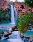 Autumnal Plunge - Havasu Falls