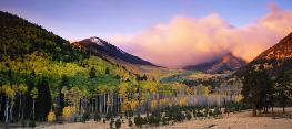 First Light On the First Snow - Lockett Meadow