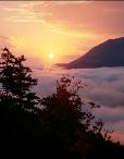Sunrise Above the Clouds - Olympic National Park